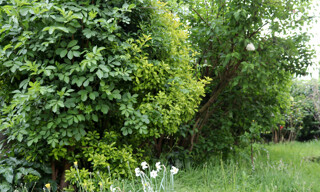 Photo N° 4