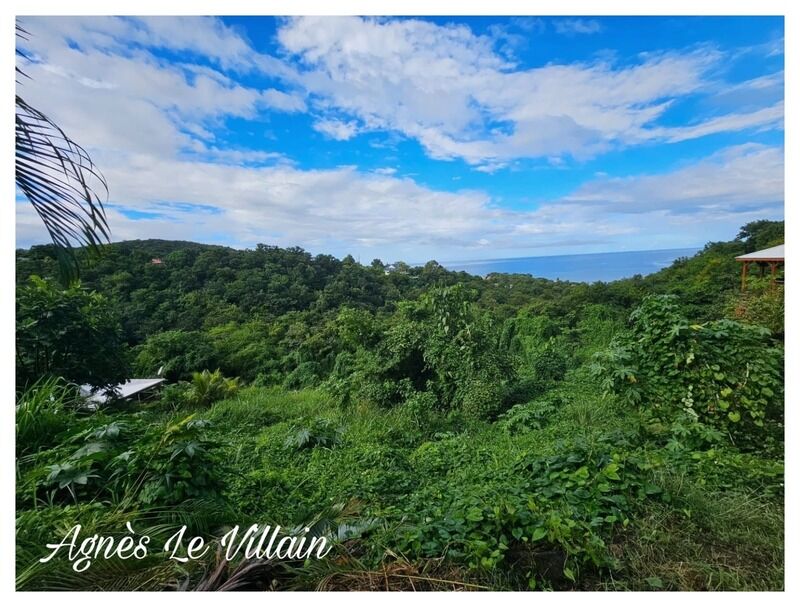 Terrain  à vendre Bouillante 97125