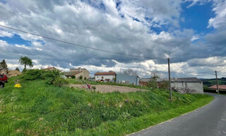 Photo N° 14