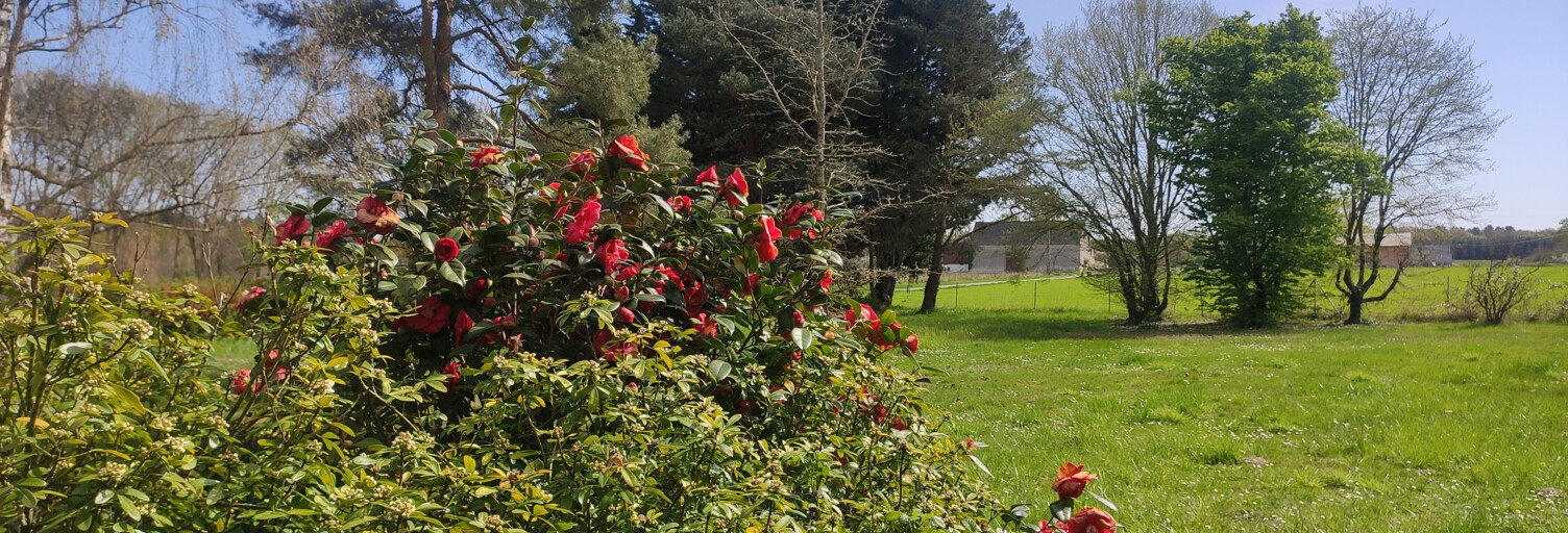 Maison 7 Pièces 269 m² à vendre à Lailly-en-Val (45740)