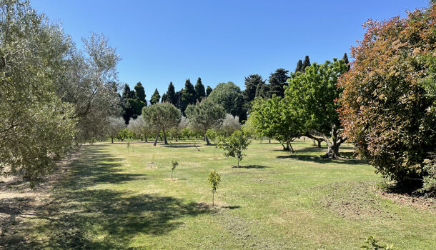 Villa / Maison 6 pièces  à vendre Argelès-sur-Mer 66700