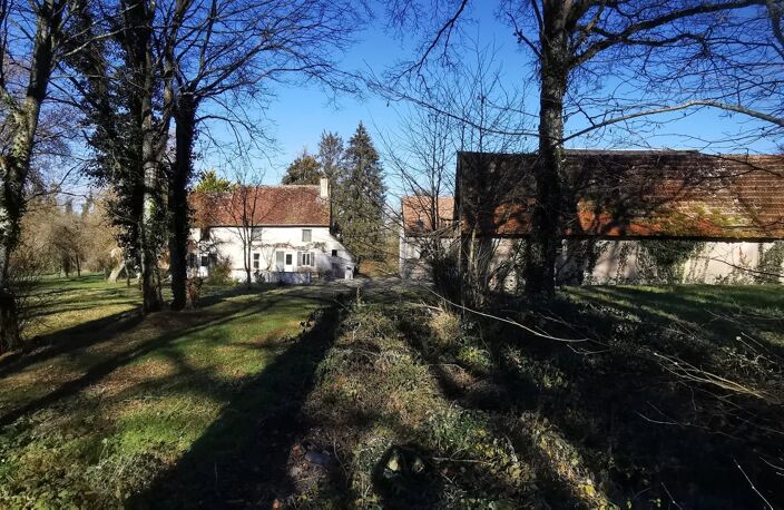 Propriété 4 chambres sur 2 hectares 46 — photo 4