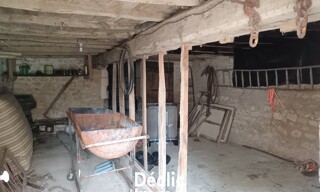 Photo N° 6