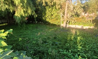 Photo N° 3