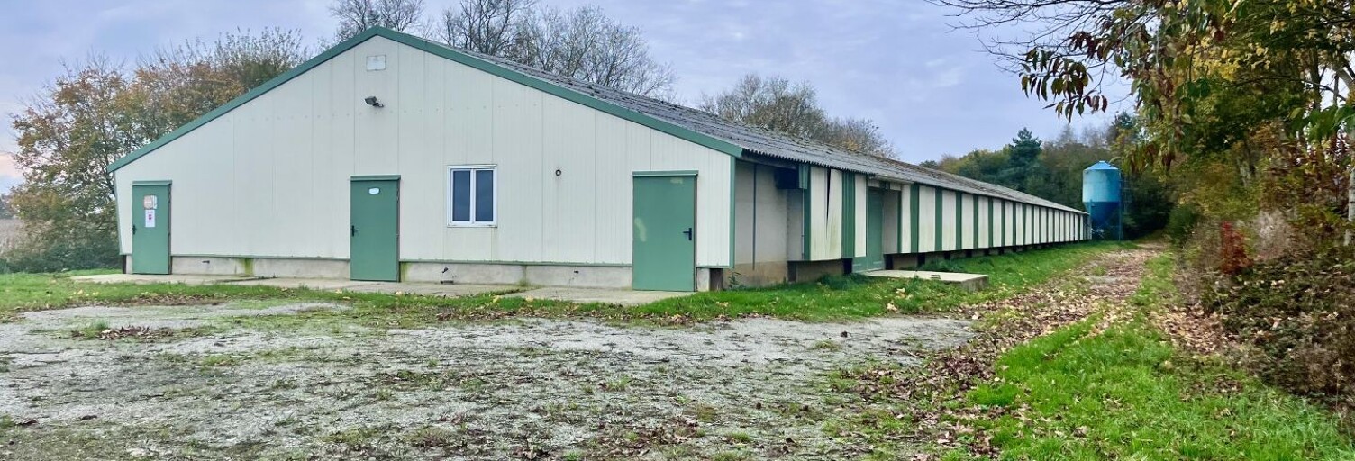 Commerce  1200 m² à vendre à Saint-Aignan (56480)