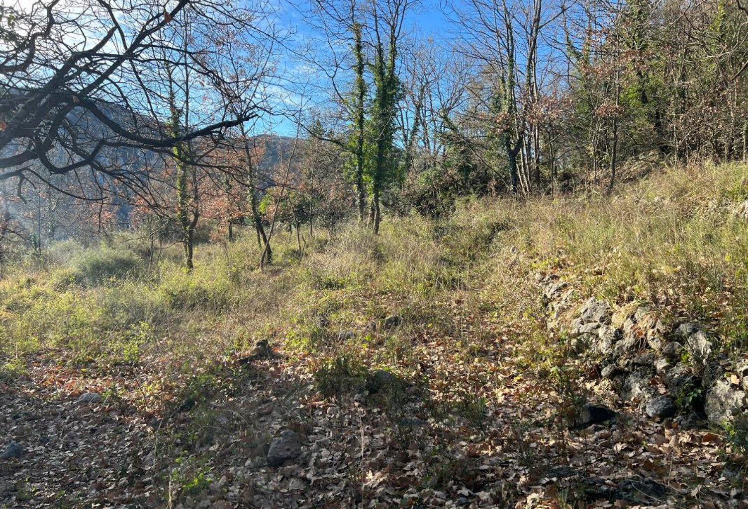Terrain À Vendre — photo 1