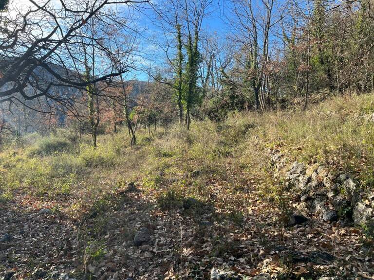 Terrain À Vendre — photo 1