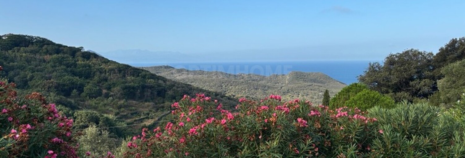 Maison 4 Pièces 92 m² à vendre à Centuri (20238)