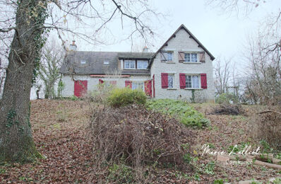 vente maison 370 000 € à proximité de Aulnay-la-Rivière (45390)