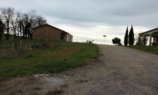 Photo N° 6