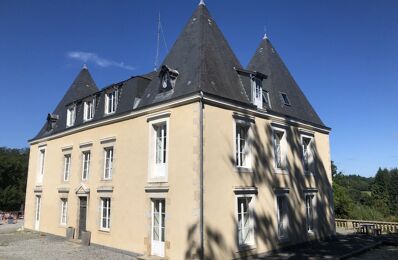 maison 10 pièces 750 m2 à vendre à Châteauneuf-la-Forêt (87130)