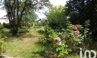 Photo N° 4