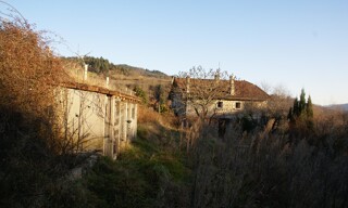 Photo N° 9