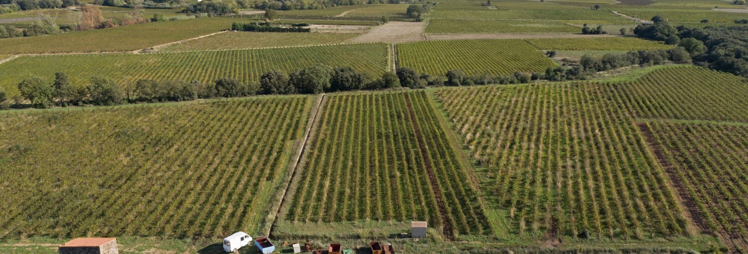 Terrain  93829 m² à vendre à Ceyras (34800)