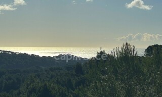 Photo N° 5