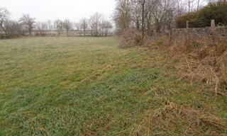 Photo N° 4