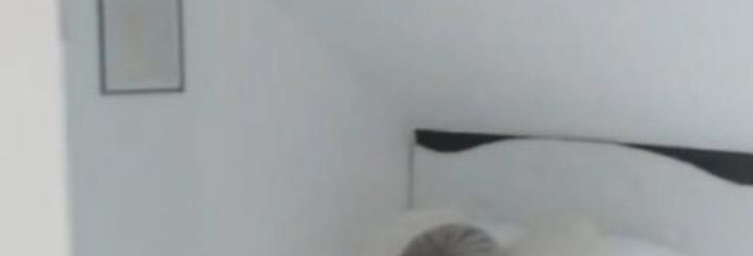 Appartement 1 Pièce 29 m² à vendre à Tremblay-en-France (93290)