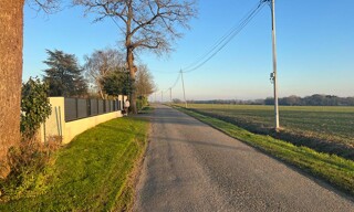 Photo N° 15
