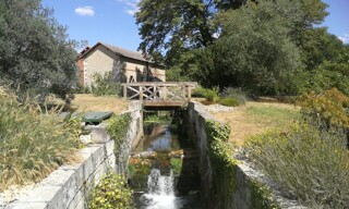Photo N° 3