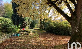 Photo N° 4