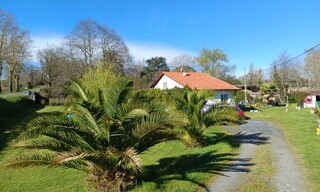 Photo N° 3