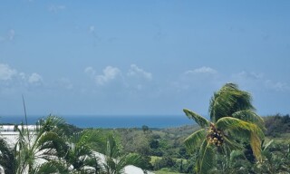 Photo N° 3