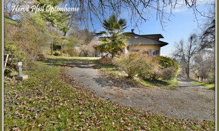 Photo N° 4