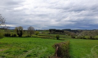 Photo N° 8