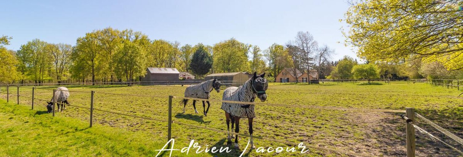 Maison 8 Pièces 165 m² à vendre à Saint-Julien-sur-Cher (41320)