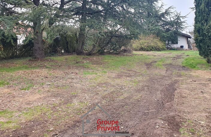 terrain plat — photo 4