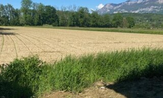 Photo N° 3