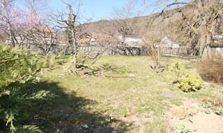 Photo N° 4
