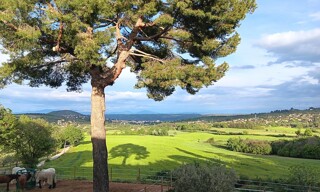 Maison 13 Pièces 308 m² à vendre à Manosque (04100)