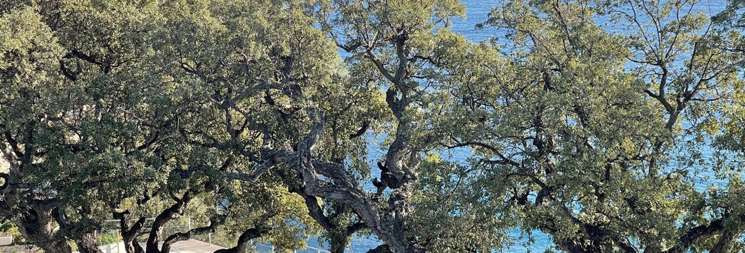 Appartement 4 Pièces 111 m² à vendre à Toulon (83000)