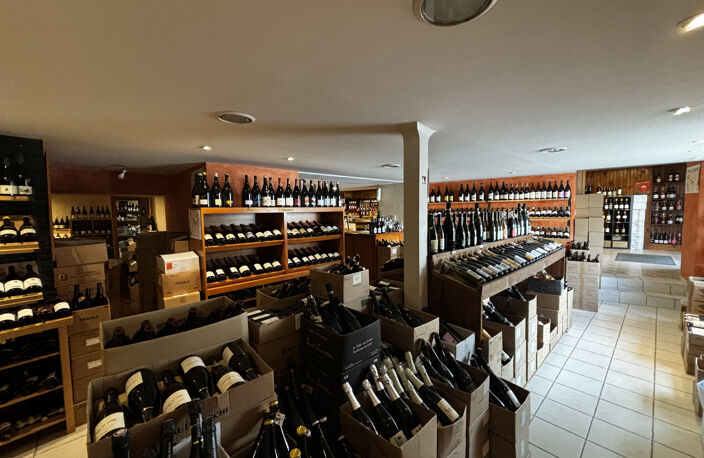 MURS COMMERCIAUIX OU PROFESSIONNELS A VENDRE ANGERS — photo 4