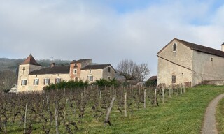 Photo N° 6