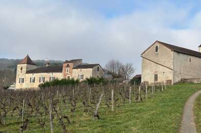 Maison 9 pièces 520000 €