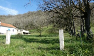 Photo N° 3