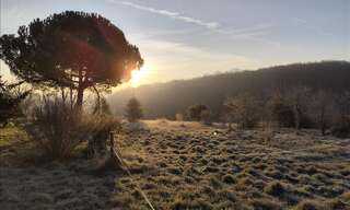 Maison 1 Pièce  m² à vendre à Lévignac-de-Guyenne (47120)