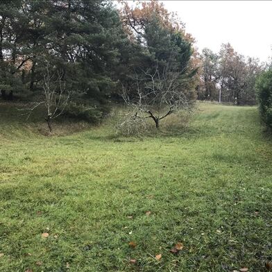 Terrain  56000 €