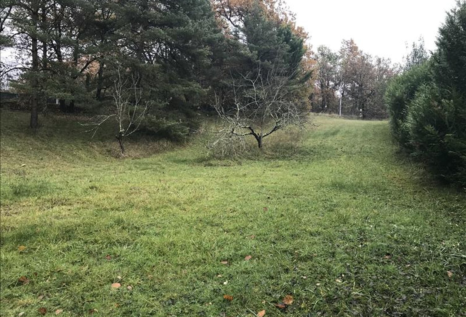 Terrain à bâtir de 0 pièces principales — photo 1