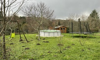 Photo N° 3