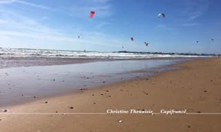 Photo N° 6