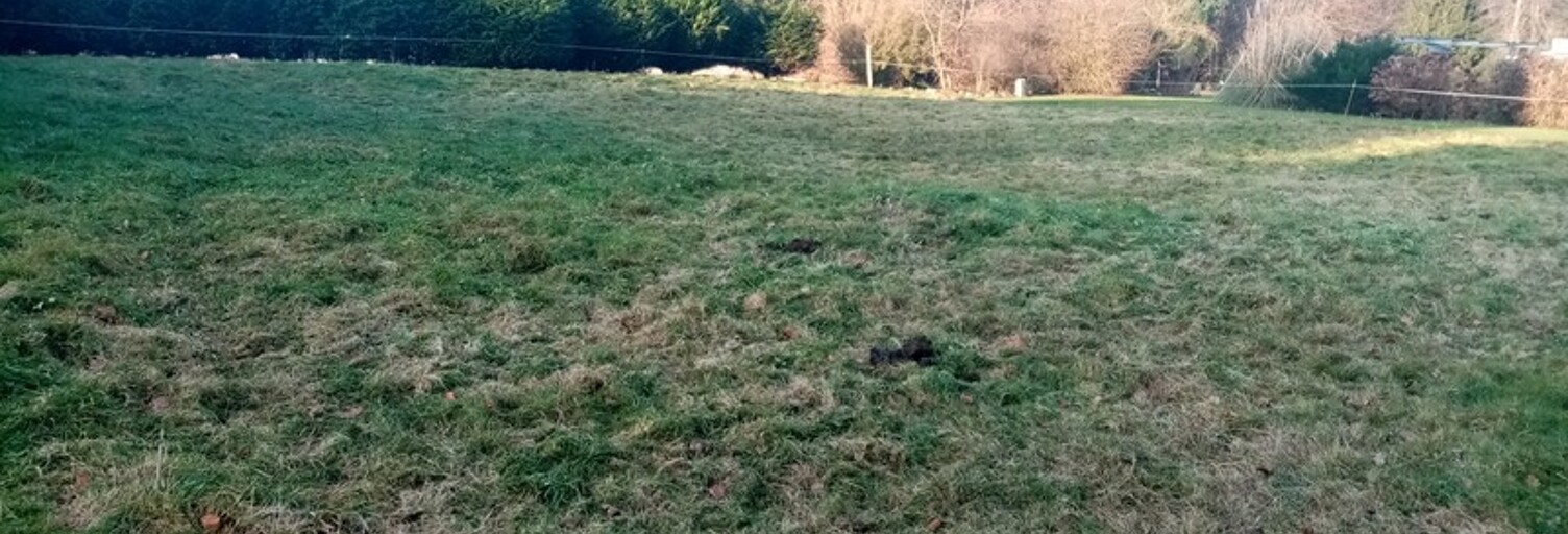 Terrain  1000 m² à vendre à Cany-Barville (76450)