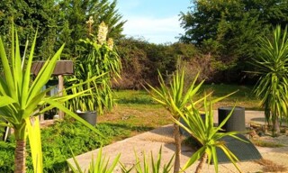 Maison 2 Pièces 45 m² à louer à Sorgues (84700)