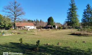 Photo N° 14