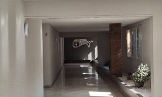 Photo N° 7