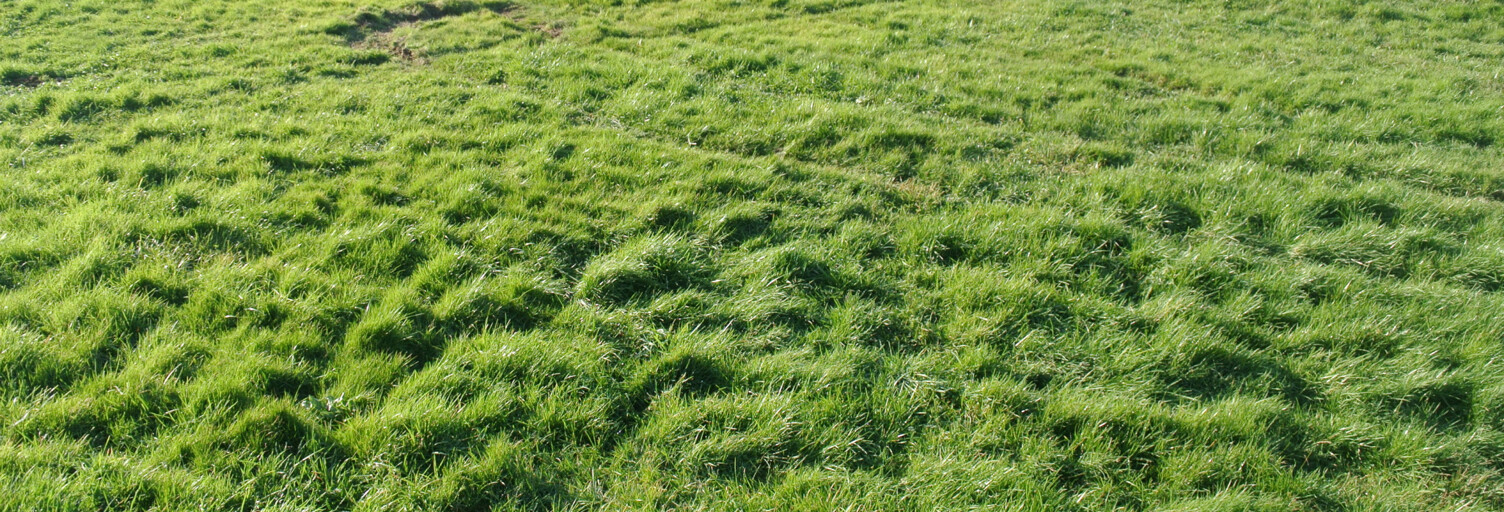 Terrain  1001 m² à vendre à Marmande (47200)