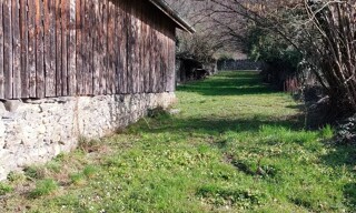 Photo N° 3