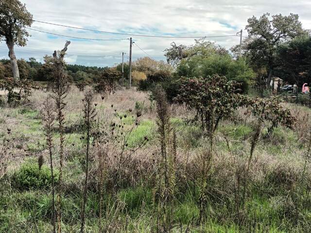 Terrain constructible — photo du bien